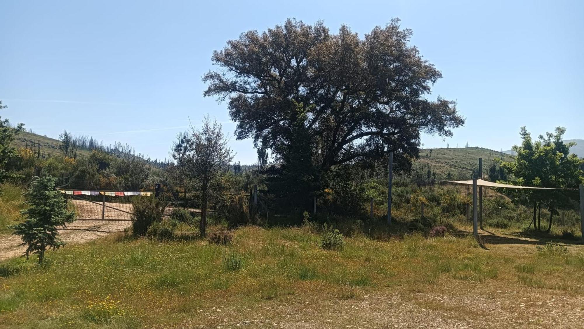 Villa Quinta D' Luzarcoiris Arganil Exterior foto